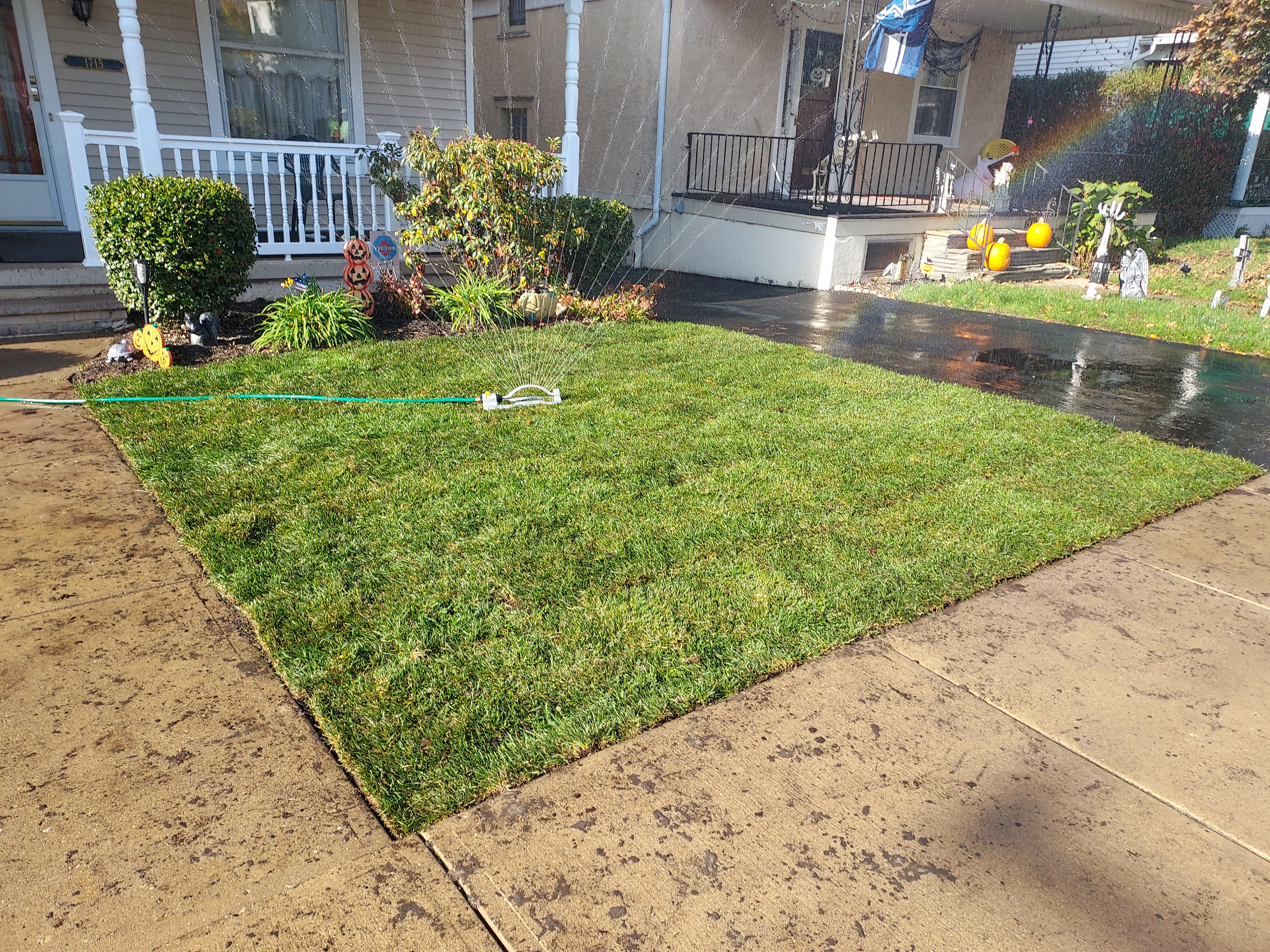 Green and Lush Sod Installation and Lawn Repair in Dunmore,  PA
