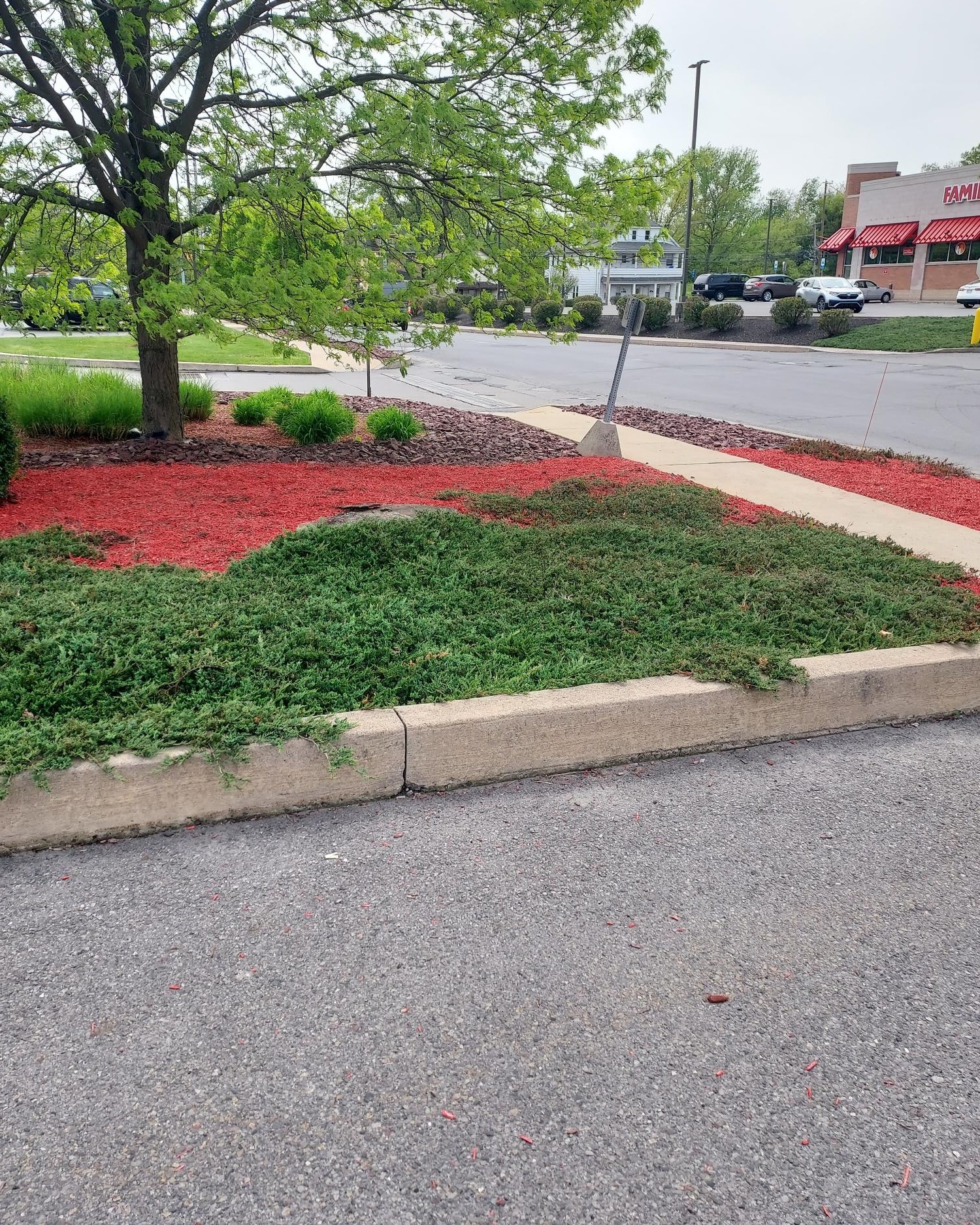 Top-Tier Mulch Installation at Scranton Shopping Center: Desperate Landscapes & Lawn Care