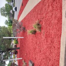 Why-mulch-is-so-important-in-your-Dunmore-and-Clarks-Summit-flower-beds 0
