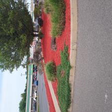 Why-mulch-is-so-important-in-your-Dunmore-and-Clarks-Summit-flower-beds 1